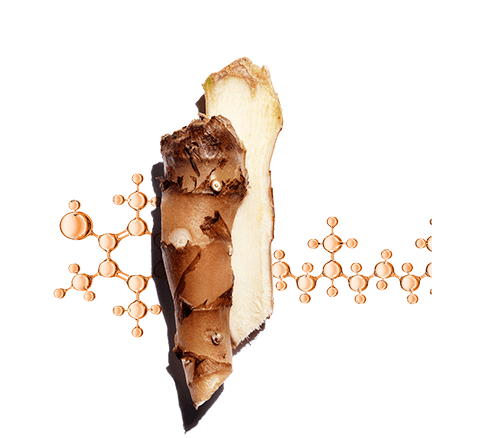 Duo aus Extrakt der Schmetterliningslilie + Vitamin E helfen, die Haut vor oxidativem Stress zu bewahren und vor Verlust an Ausstrahlung